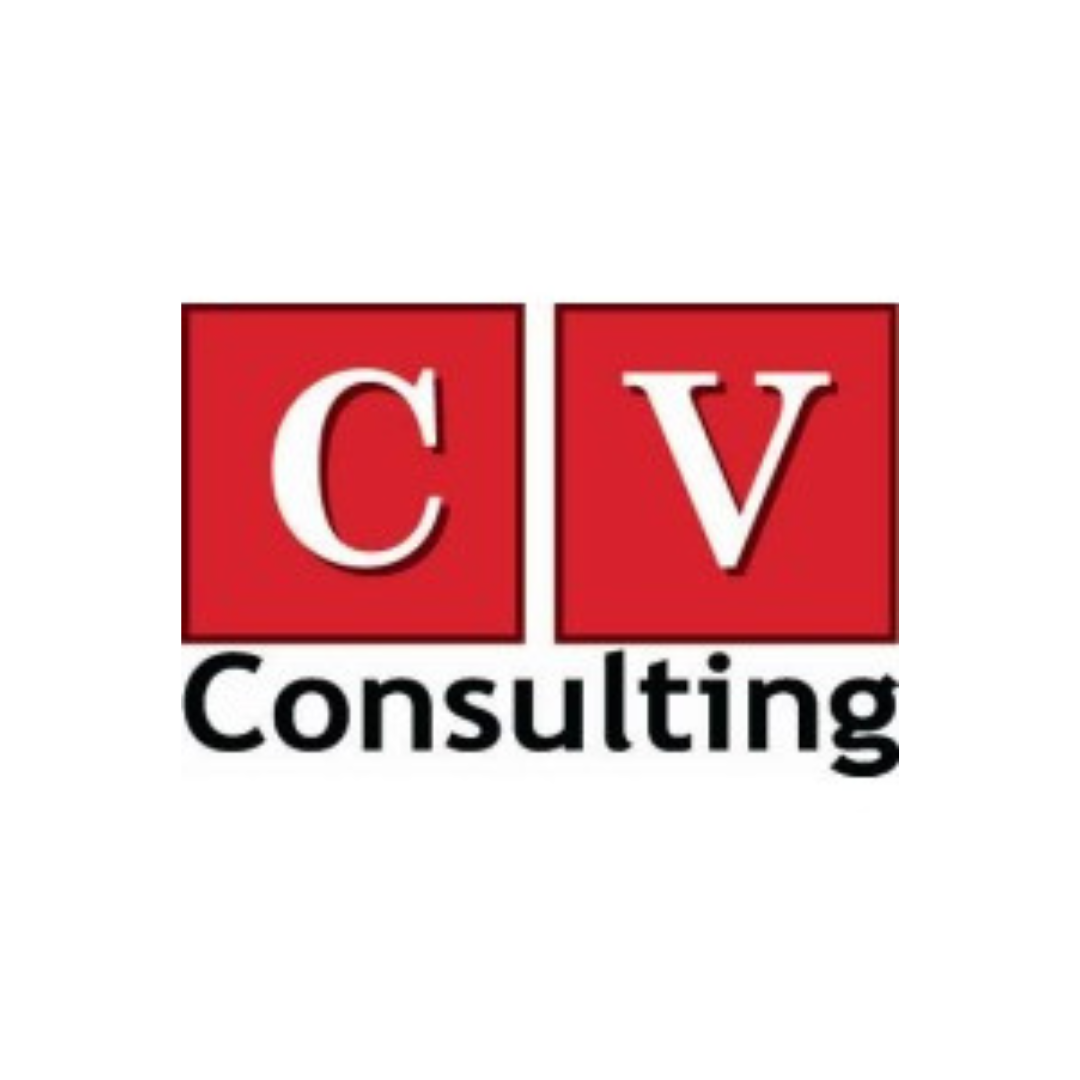 cv consulting 3